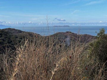 ccee6b5e-62f4-40bb-9348-ea37f6285bca