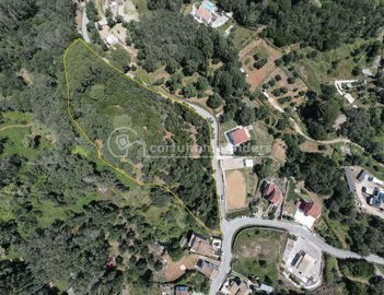 2f41d641-ce37-4249-a19e-7ca477e85198