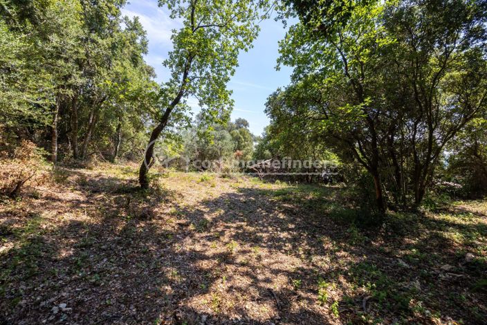 Image No.7-Land for sale