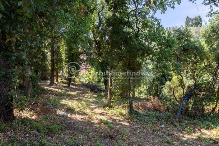 Image No.8-Land for sale