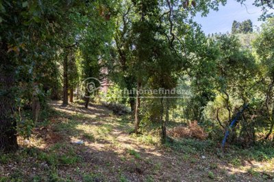 e148c715-e011-4489-99fb-cfed508e3872