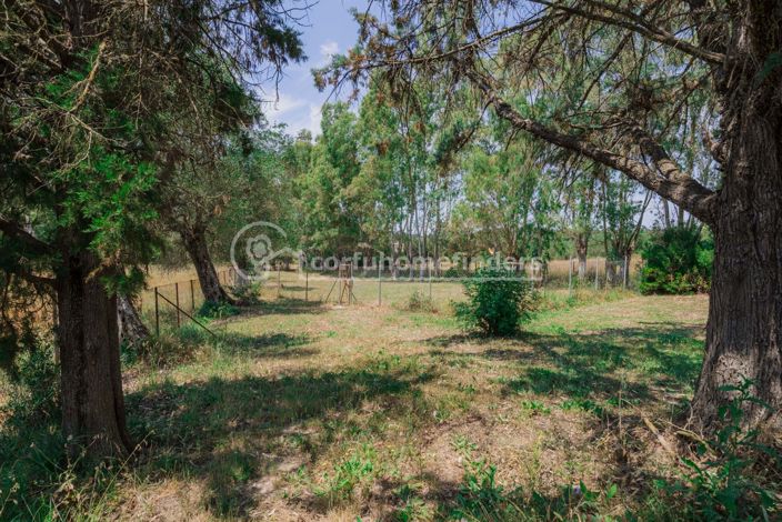 Image No.13-4 Bed House for sale