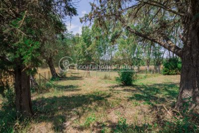 e453db10-a316-4387-ba9b-6491698e27ea