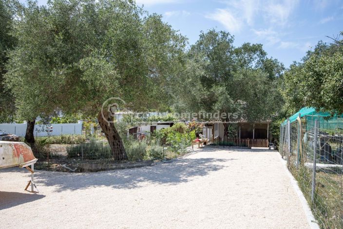 Image No.15-4 Bed House for sale