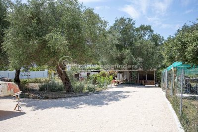 a2377c1d-46c3-4d84-9318-d6436795117e