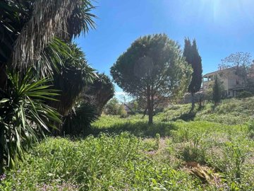 c1164bc5-2ae9-47c0-b7a9-ff9f2ba08404