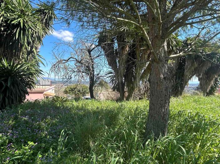 Image No.8-Property for sale