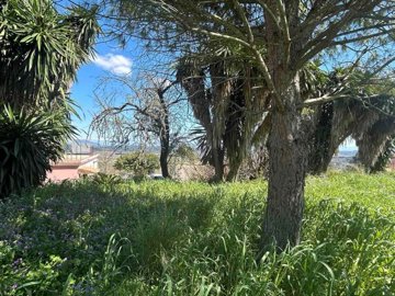 7f88eb45-ff6c-4760-9ba2-ce9a9e1708a6