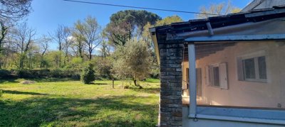 79748733-302b-474f-a44e-69a3a292f7f4