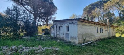 94ed180a-b081-4b29-9faf-45e50f961d9f