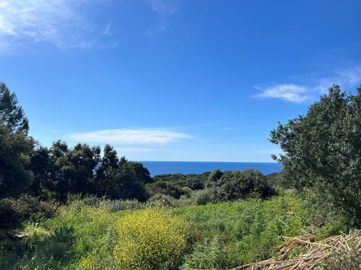 Image No.3-Land for sale