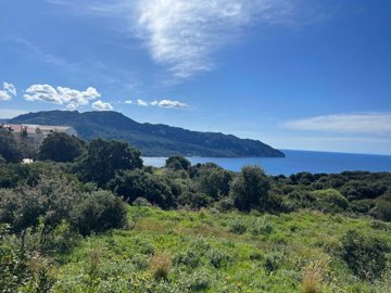 291d8be1-b27a-4b91-98c6-6b6f400435e5