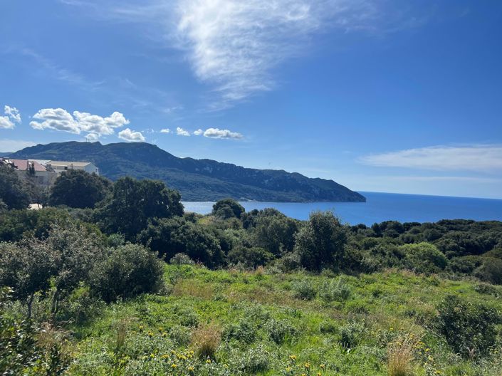 Image No.5-Land for sale