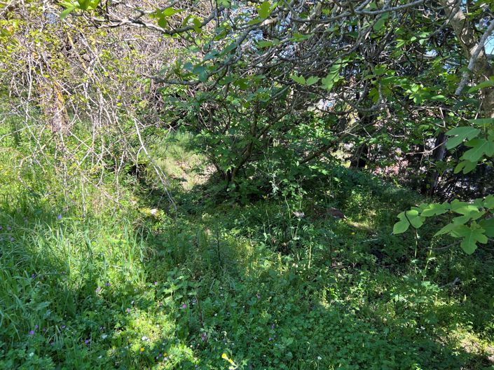 Image No.19-2 Bed House for sale