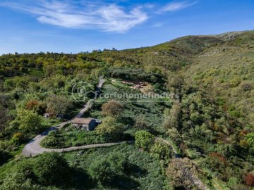 b4f2daef-e01f-4066-b482-aa55832341ae