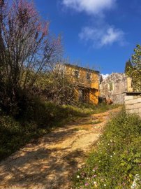 9773ce59-96b2-407c-bd86-97d790525d9e