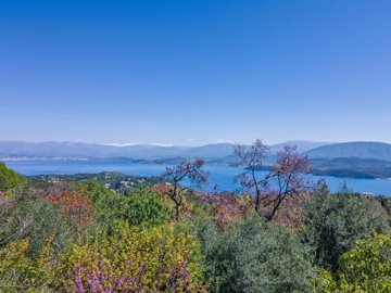 95a89a93-19b7-4c89-beaf-6213b7734edc