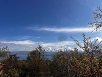 32e5cc2b-3914-47a7-85c0-2f01c7fcf4a1