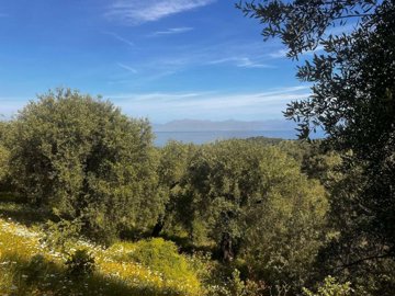 bd86af12-44f2-4a48-8ad1-aad259ce8d61