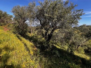 4f7c84d2-7cdb-4ad8-b8ae-95bf111943a0