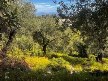 5355ee3b-e610-4ee6-9cad-cfb361d51bf0