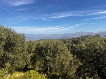 ea784835-185a-4f4e-9bcb-9fd6b819ddc1