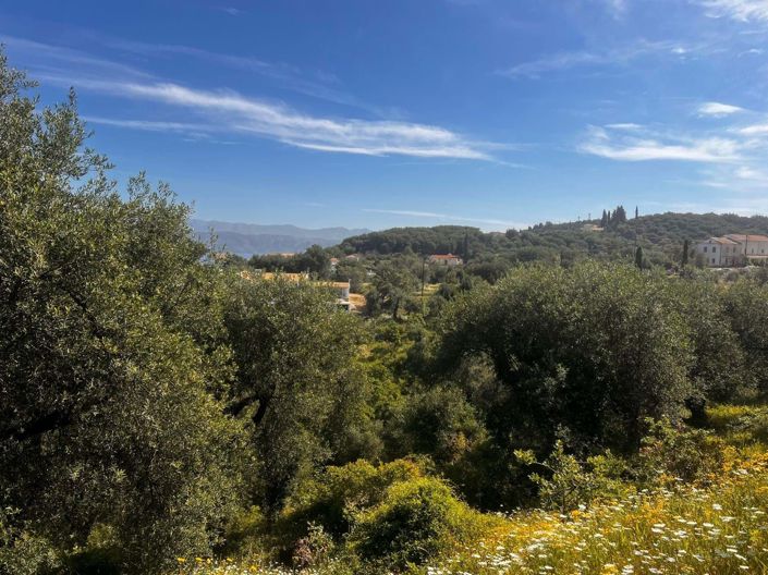 Image No.5-Terre à vendre à Corfou