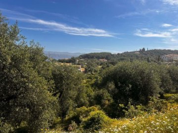 ede483fc-4c4d-4d84-b2a6-4760d3c71726