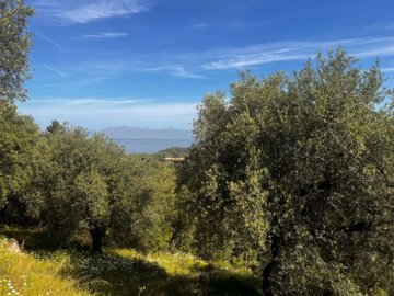 1b5143cf-e9d3-466a-b795-eac470198bae