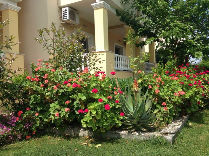 Image No.10-6 Bed House for sale