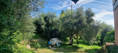 1d51c3f6-5ea6-470c-ad96-bbd4854ad9cb