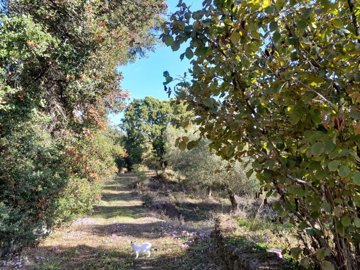 70acd42f-c1db-4e67-92f4-48590f269c24