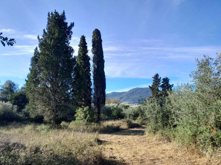 Image No.2-Land for sale