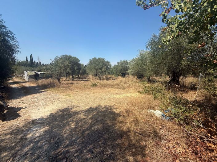 Image No.8-Land for sale