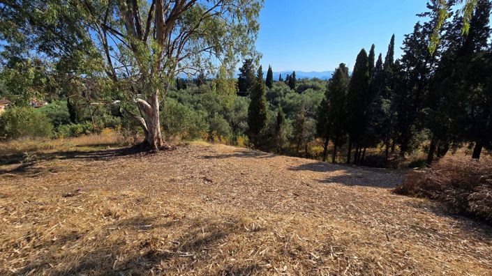 Image No.4-Land for sale