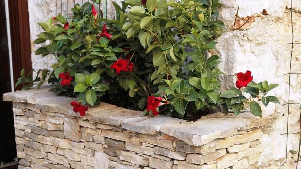 Image No.18-Chalet de 4 chambres à vendre à Murter