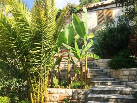 Image No.2-Villa / Détaché de 6 chambres à vendre à Korcula