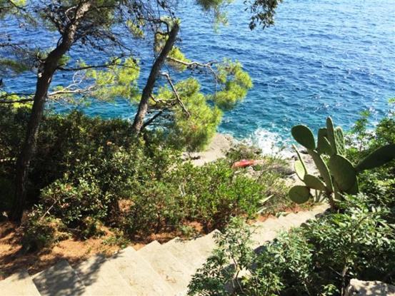 Image No.5-Villa / Détaché de 6 chambres à vendre à Korcula