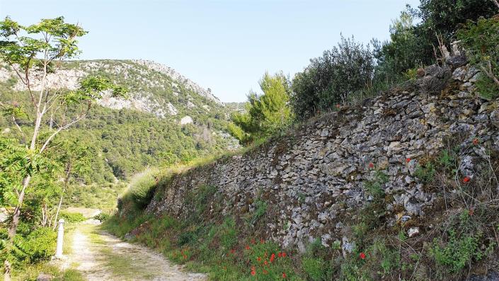 Image No.3-Terre à vendre à Pitve