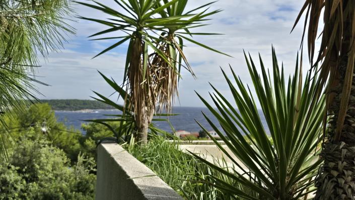 Image No.20-3 Bed House for sale