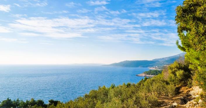 Image No.3-Terre à vendre à Zarace