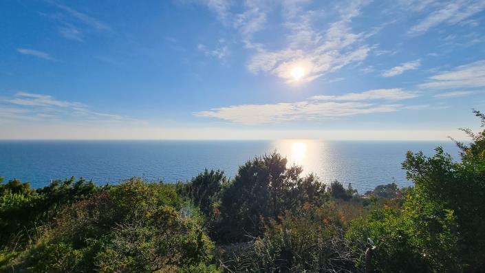 Image No.2-Terre à vendre à Zarace