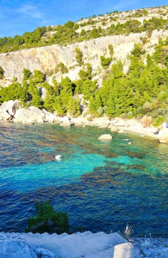 Image No.5-Terre à vendre à Zarace