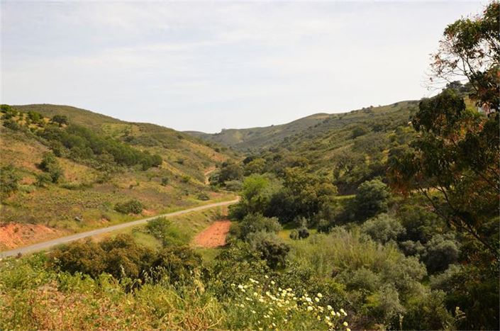 Image No.5-Maison de 3 chambres à vendre à Alcoutim