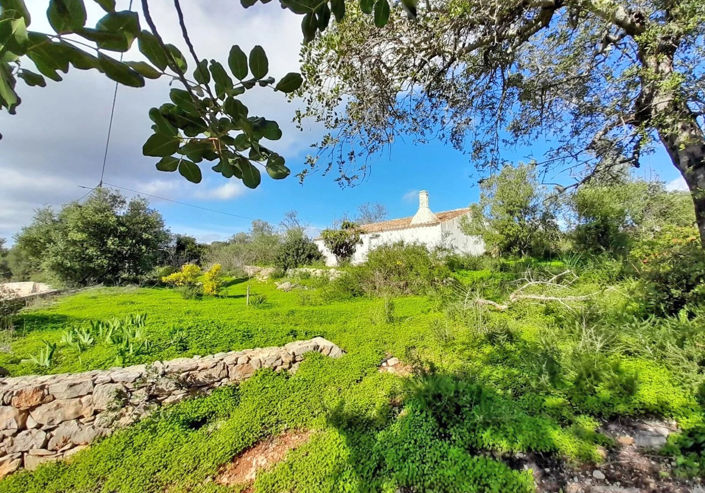 Image No.5-2 Bed Property for sale