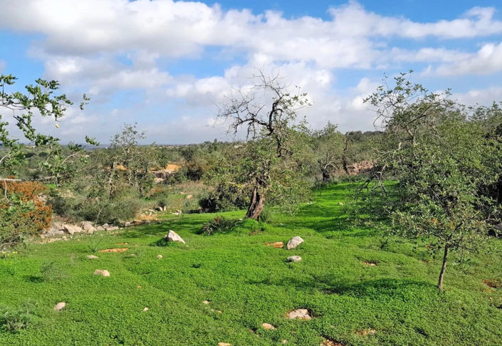 Image No.7-2 Bed Property for sale