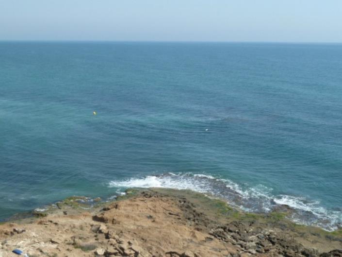 Image No.9-Appartement de 1 chambre à vendre à Torrevieja