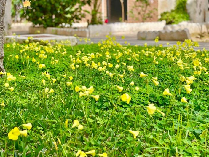 Image No.29-2 Bed House/Villa for sale