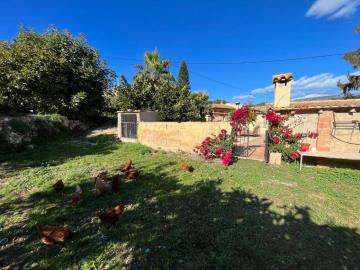 foto48