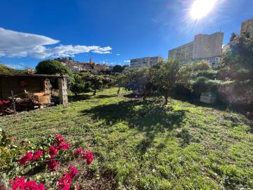 foto46